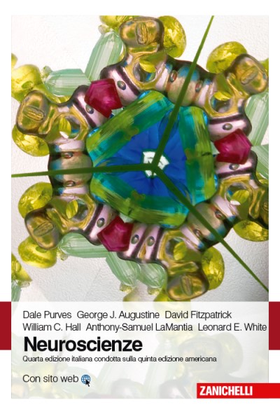 Neuroscienze - Quarta edizione italiana condotta sulla quinta edizione americana